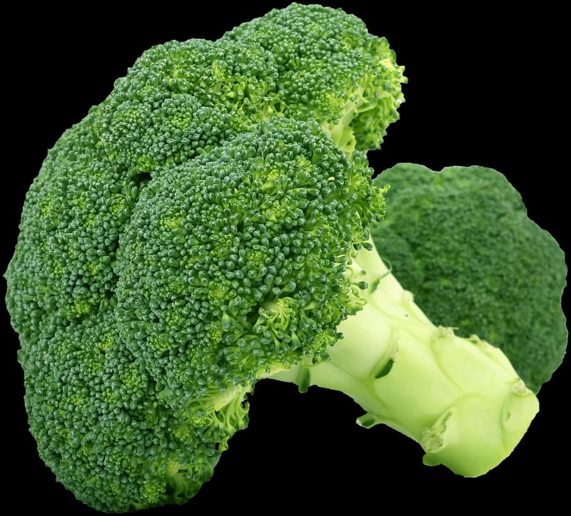 Plant-Based Foods